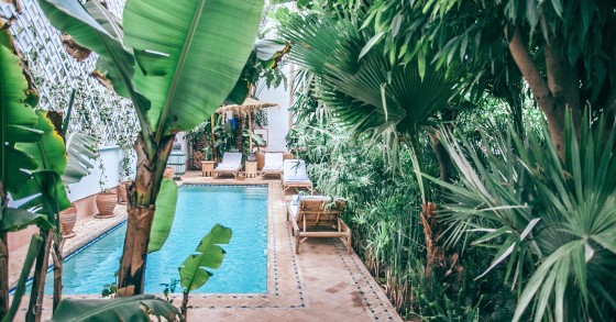 giardino con piscina
