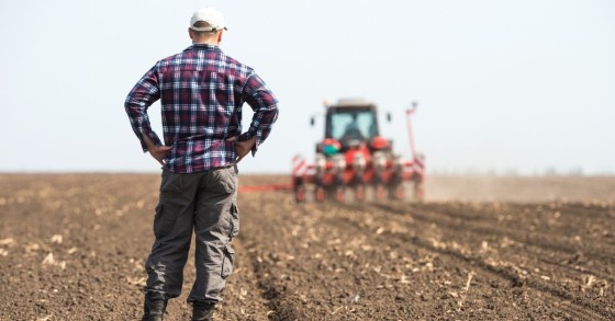 scrittura privata affitto terreno agricolo
