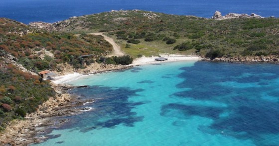 cosa vedere asinara
