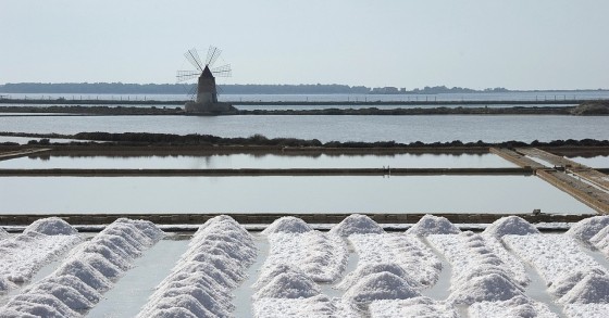 cosa vedere alle saline di trapani