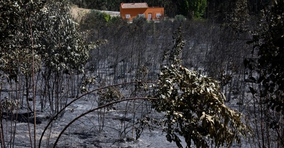 Cambiamenti climatici