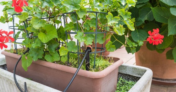 impianto di irrigazione balcone