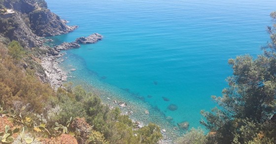 cosa vedere a squillace