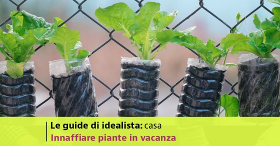 Come innaffiare le piante in vacanza