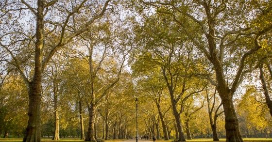 Hyde Park