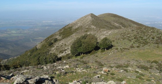cosa vedere a monte arcosu