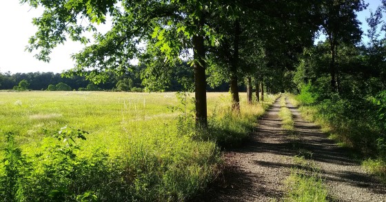 parco del ticino cosa vedere