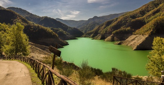 foreste casentinesi