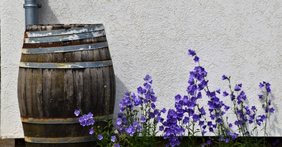 Botti per il vino o l'acqua