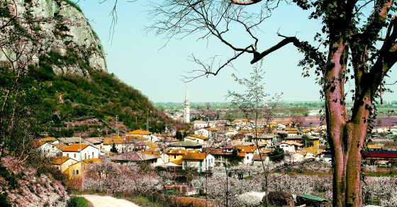 cosa vedere ai colli berici