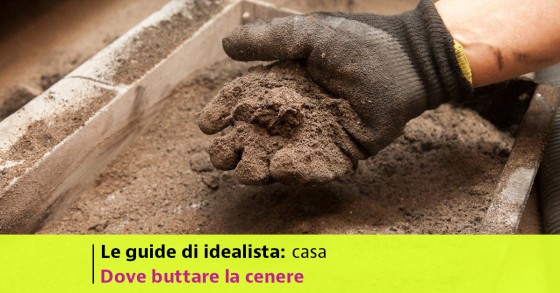 cenere stufa a pellet