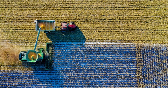 terreno agricolo