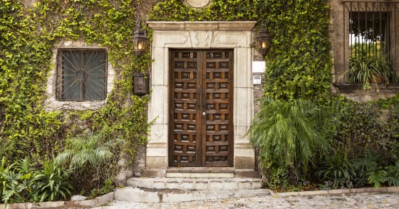 piante per ingresso esterno