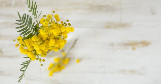 decorazioni festa della donna