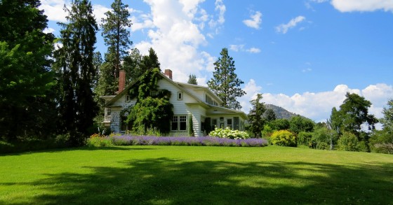 abbellire il giardino