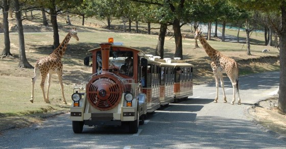 dove portare i bambini in piemonte