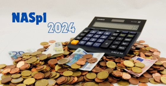 naspi 2024
