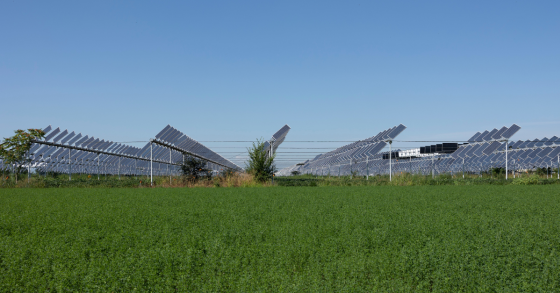 Agrivoltaico 2024