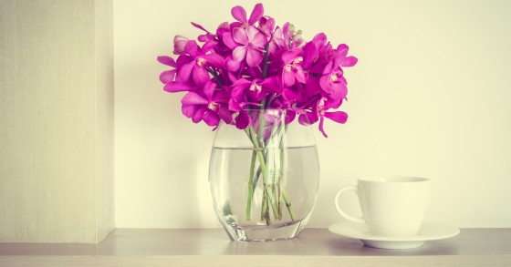 orchidee vaso trasparente