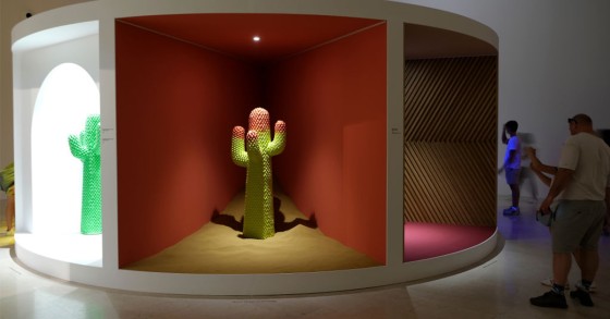 cactus gufram