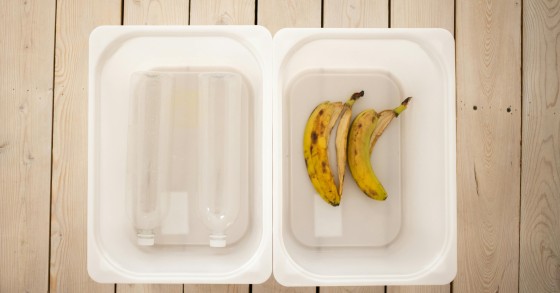 bucce di banane concime
