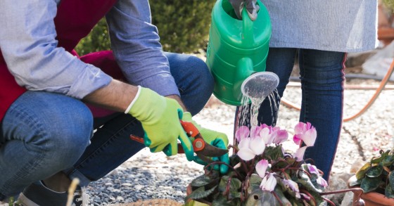 eventi giardinaggio settembre