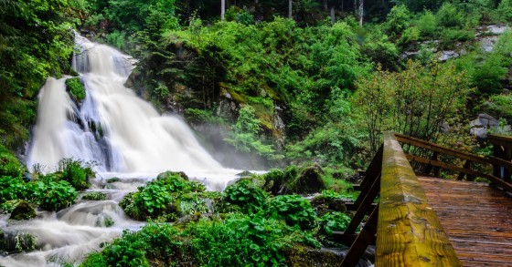 cosa vedere foresta nera