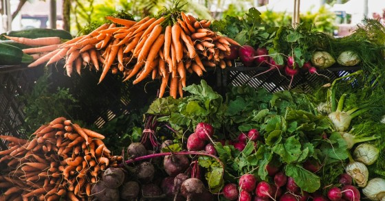 cosa piantare a novembre