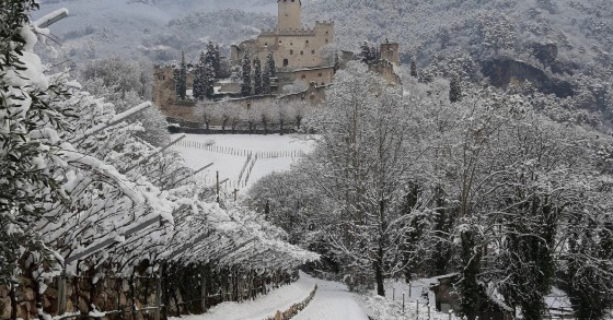 Castello di Avio