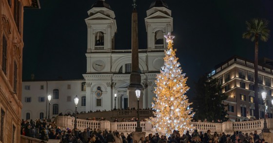 albero di natale roma 2024