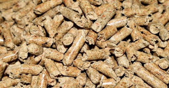 Un carico di pellet dopo la lavorazione 