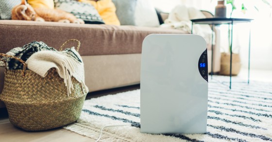 Mini Deumidificatore Portatile per Grow Box e Room in Vendita