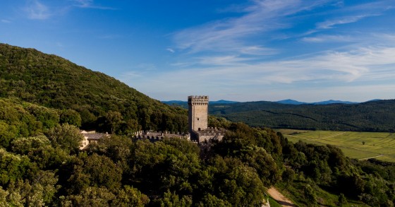 Musk aurait un œil sur un château italien