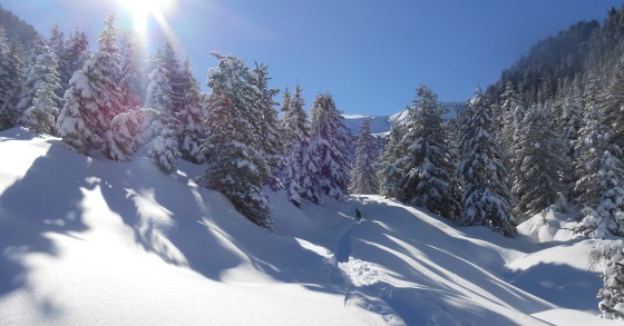 sciare a cavalese