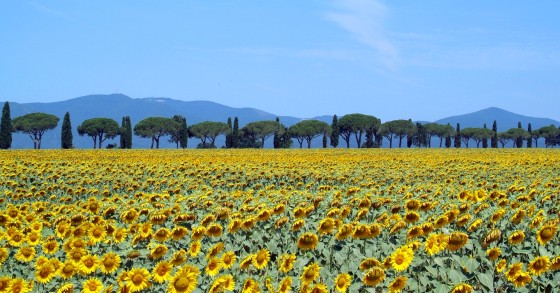 cosa vedere in Maremma