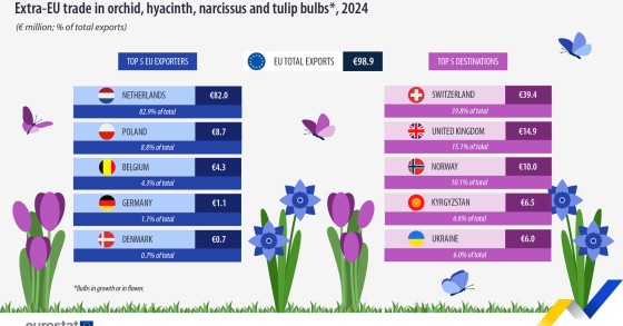 Bulbi di fiori Ue
