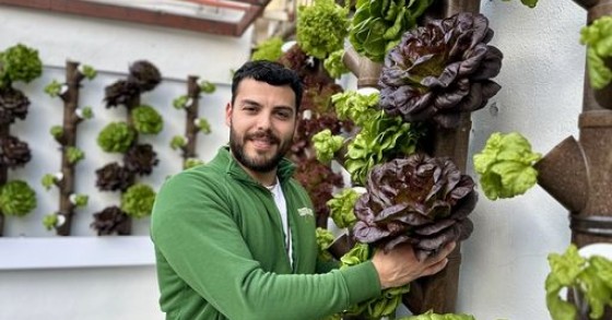 A Caserta la prima pizzeria con orto idroponico verticale