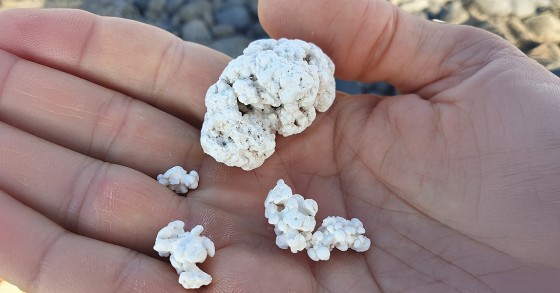 spiaggia pop corn fuerteventura