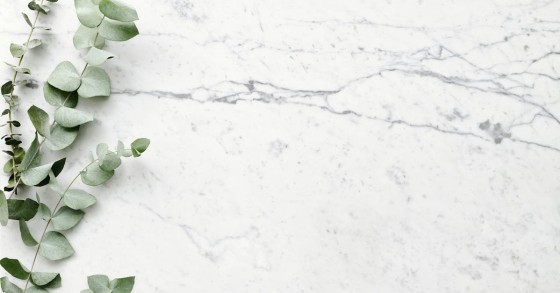 Il marmo bianco di Carrara con venature più scure