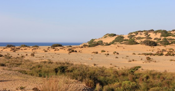 deserto in italia