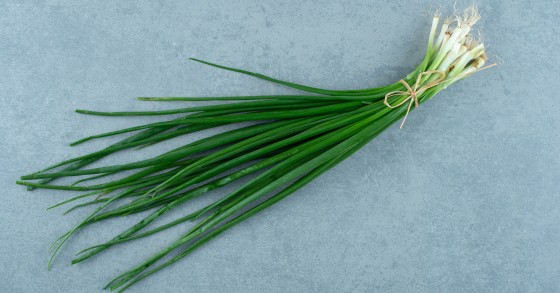 erba cipollina