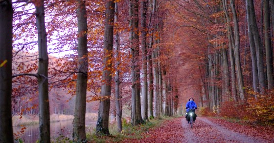 Autunno in Trentino