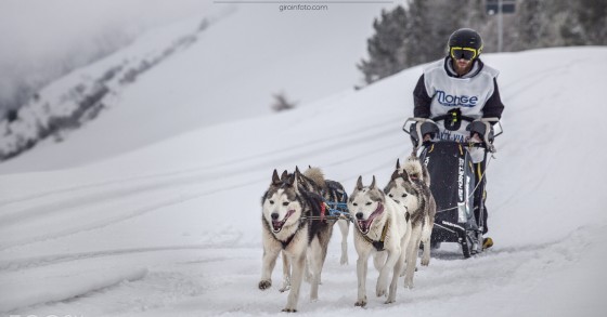 Dogsledding in Italy