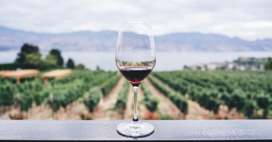 Vin italien parfait pour accompagner vos repas italiens