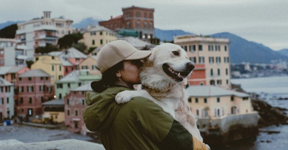Taxe de séjour sur les animaux de compagnie en Italie