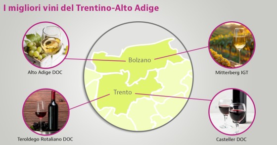 vini tipici trentino alto adige