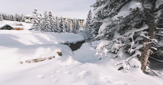 Neve in Piemonte