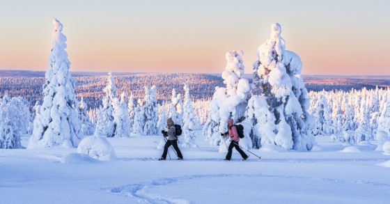 Vacanze neve