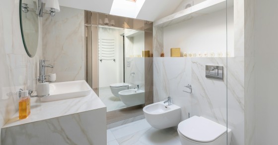 origine bidet