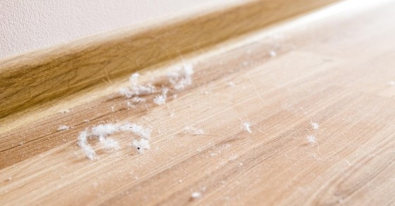 polvere sul pavimento in legno